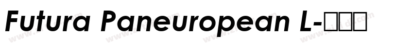 Futura Paneuropean L字体转换